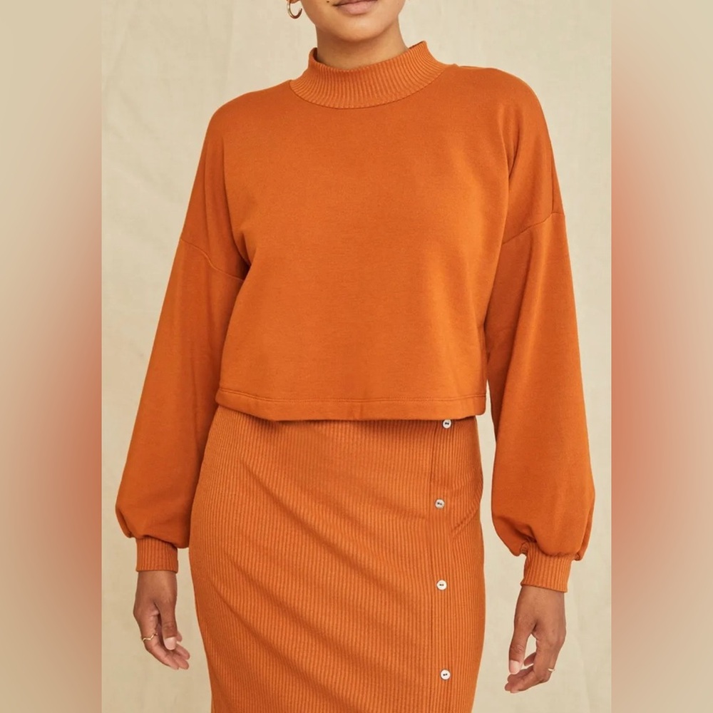 Amour Vert Salinas Luxe Fleece Cropped Sweatshirt In Umber Size Medium
